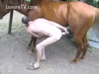 Zoophilia gay man loves a horse dick
